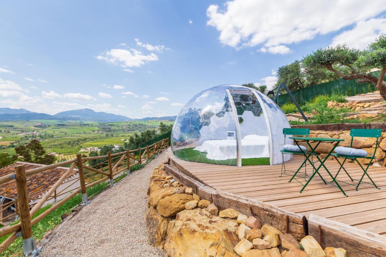 Finca Puerto Ermita - Cerca Malaga 20Km - Pizarra Eksteriør bilde