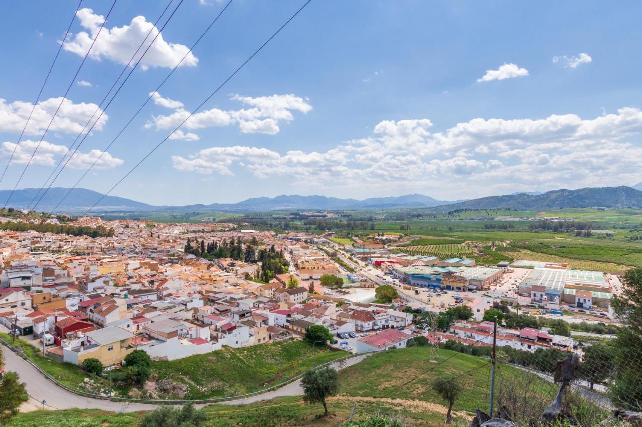Finca Puerto Ermita - Cerca Malaga 20Km - Pizarra Eksteriør bilde
